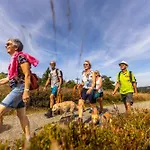 Mountain View Willingen, Bw Signature Collection 4*