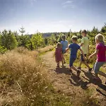 Hotel Mountain View Willingen, Bw Signature Collection Willingen (Upland)