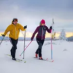 Mountain View Willingen, Bw Signature Collection