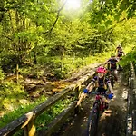 Mountain View Willingen, Bw Signature Collection 호텔 4*