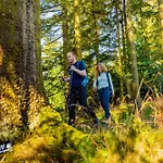 호텔 Mountain View Willingen, Bw Signature Collection 빌링겐