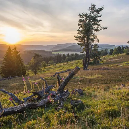 Hotel Mountain View Willingen, Bw Signature Collection
