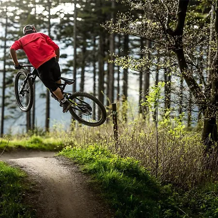 Mountain View Willingen, Bw Signature Collection 4*