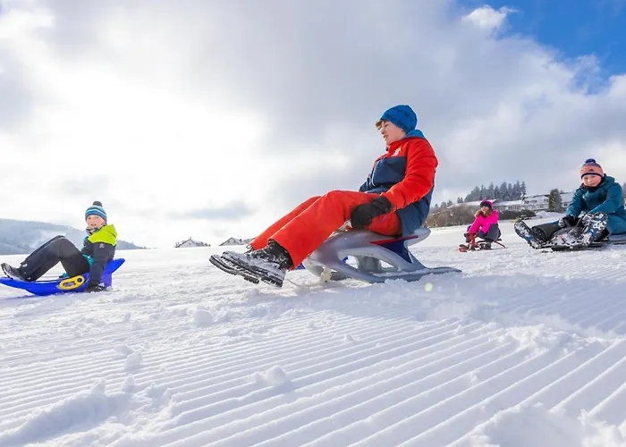 Mountain View Willingen, Bw Signature Collection