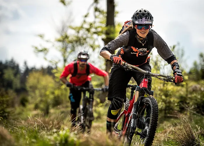 Mountain View Willingen, Bw Signature Collection Hotel Willingen (Upland)