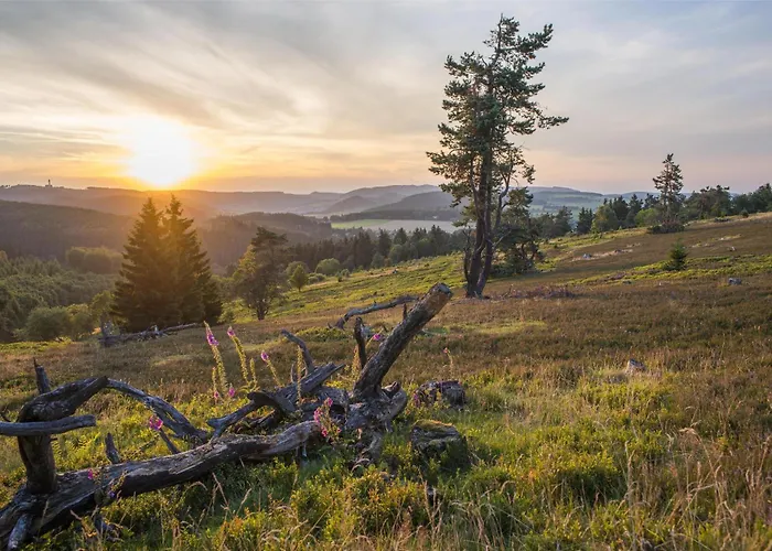 Hotel Mountain View Willingen, Bw Signature Collection