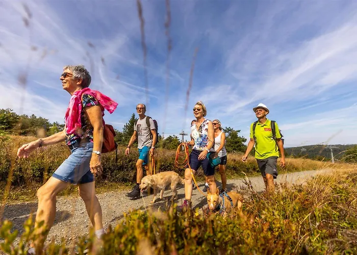 Mountain View Willingen, Bw Signature Collection 4*