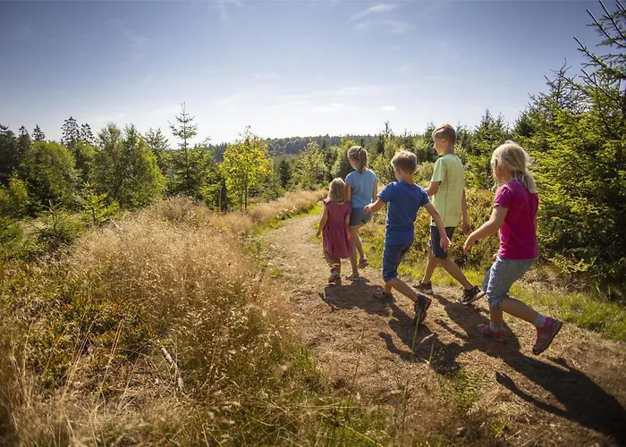 Hotel Mountain View Willingen, Bw Signature Collection Willingen (Upland)