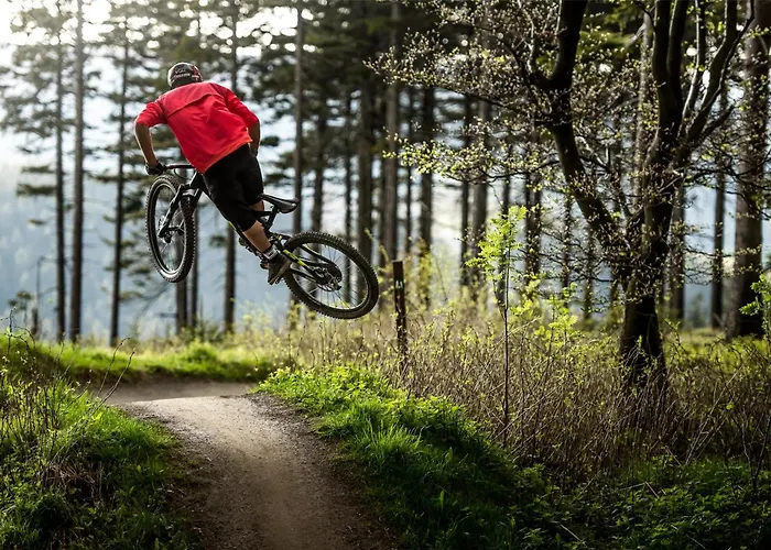 Mountain View Willingen, Bw Signature Collection 4*