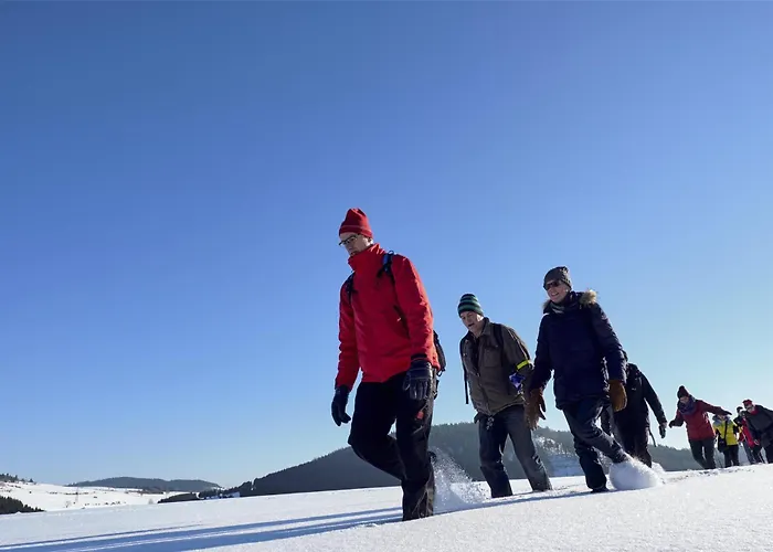 Mountain View Willingen, Bw Signature Collection Hotel 4*