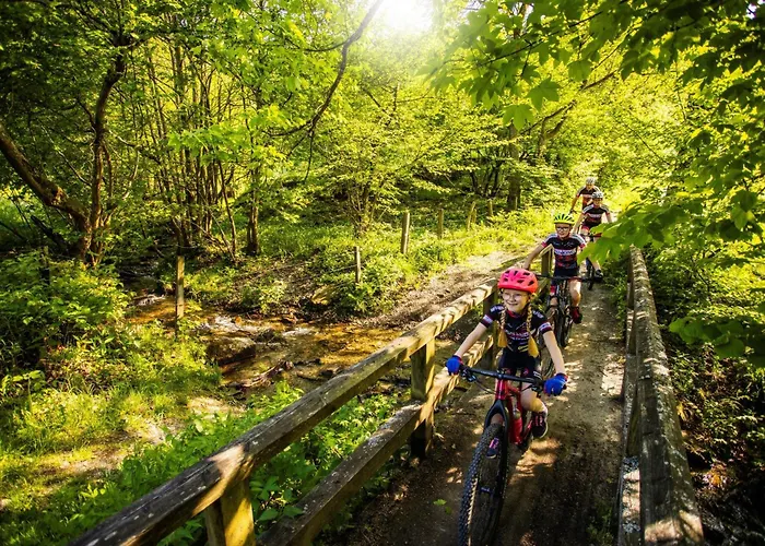 Mountain View Willingen, Bw Signature Collection Hotel 4*