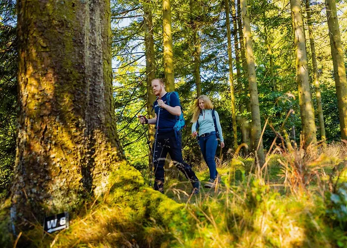 Hotel Mountain View Willingen, Bw Signature Collection Willingen (Upland)